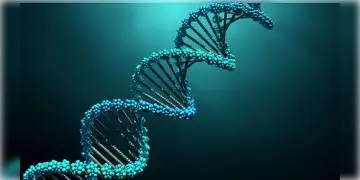 Read more about - বিবর্তনের রহস্য ভেদ বিজ্ঞানীদের, প্রকাশিত হল ‘সায়েন্স’ জার্নালে