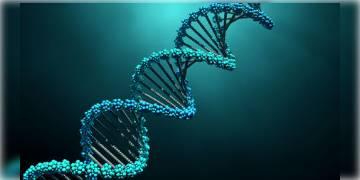 Read more about - বিবর্তনের রহস্য ভেদ বিজ্ঞানীদের, প্রকাশিত হল ‘সায়েন্স’ জার্নালে