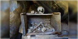 Read more about - Pithoragarh Cave | পিথোরাগড় অঞ্চলের অজ্ঞাত গুহা থেকে উদ্ধার কয়েক হাজার মানব কঙ্কাল