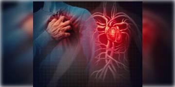 Read more about - আপনি কি প্রায়ই রেড মিট খান? হৃদরোগের আশঙ্কা করছেন গবেষকরা