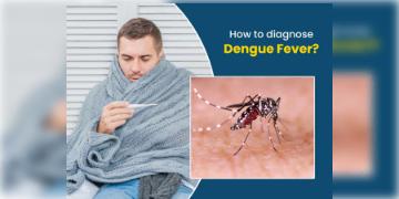 Read more about - WB Dengue update: ২০১৯-কেও কি হারাবে ২২-এর বিপজ্জনক ডেং-২-এর গতি