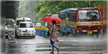 Read more about - Weather Update | অবশেষে বৃষ্টি নেমেছে মহানগরীতে, একনজরে কলকাতার আজকের আবহাওয়া আপডেট