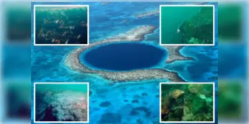 Read more about - Taam Ja' Blue Hole | জলের মধ্যে বিশালাকার, গভীর গর্ত! সিঙ্কহোলের গভীরে রয়েছে কোন রহস্য এখনও সম্ভব হয়নি আবিষ্কার করা!