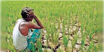 Read more about - ফসলের দাম মেটাতে দেরি, নয়া কৃষি আইনে বেসরকারি সংস্থাকে মোটা অঙ্কের জরিমানা।