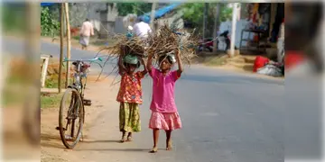 Read more about - School Drop Out | দেশে স্কুলছুট হিসাবে চিহ্নিত ১১.৭০ লক্ষেরও বেশি শিশু! প্রথমেই রয়েছে উত্তরপ্রদেশ