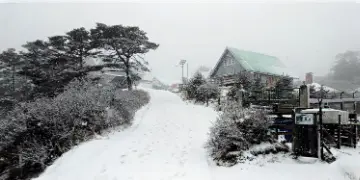 Read more about - Darjeeling Snowfall | দার্জিলিঙে মরশুমের প্রথম তুষারপাত! পেঁজা তুলোর মতো সান্দাকফুর চারিদিক ঢাকলো বরফে! দেখুন ছবি!