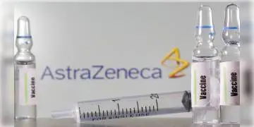 Read more about - অ্যাস্ট্রাজেনেকার টিকায় রক্ত জমাট বাঁধার অভিযোগে সাময়িক স্থগিতাদেশ দিল ইউরোপের ৩ দেশ