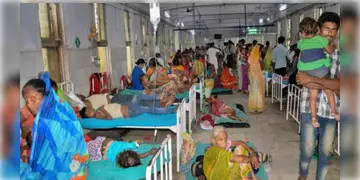 Read more about - Chandipura Virus | গুজরাটে চাঁদিপুরা ভাইরাসে আক্রান্ত হয়ে মৃত্যু  ১০১ জন শিশুর! এখনও পর্যন্ত আক্রান্ত ১৬৪ জন