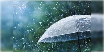 Read more about - Monsoon in West Bengal | দশ দিন আগেই উত্তরবঙ্গে ঢুকলো বর্ষা! কলকাতায় কবে থেকে প্রবেশ বর্ষার?