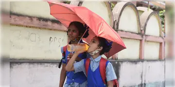 Read more about - Weather Update | তীব্র গরমে পুড়ছে মহানগরীর রাস্তাঘাট, একনজরে কলকাতার আজকের আবহাওয়া আপডেট