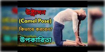 Read more about - উষ্ট্রাসন করার নিয়ম, পদ্ধতি ও বিস্তারিত তথ্য, All details about Ustrasana in bengali