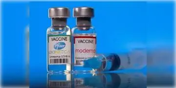 Read more about - মার্কিন প্রশাসনের সতর্কবার্তা - ফাইজার, মর্ডানার ভ্যাকসিন নেওয়ার পর বড় হচ্ছে হৃৎপিন্ড!