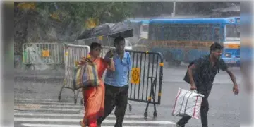 Read more about - প্রবল বৃষ্টিতে ভাসছে ৫ জেলা, একনজরে জানুন কোন কোন রাজ্যে জারি হয়েছে হলুদ সতর্কবার্তা!