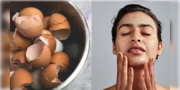 Read more about - Eggshell Face Mask and Toner | ডিমের খোসা দিয়ে ত্বক করুন উজ্জ্বল, বাড়িতে বানান ফেস মাস্ক ও টোনার!