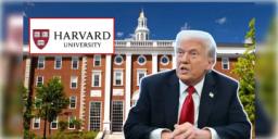 Read more about - Harvard University | 'নৈতিক জয়': হার্ভার্ডের অনুদান বাতিলে 'না' আদালতের, নাখুশ প্রেসিডেন্ট ট্রাম্প