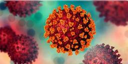 Read more about - ডেল্টা প্লাস প্রজাতি-কে রুখতে পারবে না ভ্যাকসিনও! দেশের নতুন চিন্তার বিষয়ে কি বলছে "হু"