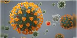 Read more about - করোনার ডেল্টা প্লাস ভ্যারিয়েন্টে দেশে প্রথম মৃত্যু মধ্যপ্রদেশে, চিন্তায় স্বাস্থ্যমহল