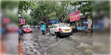 Read more about - Weather Update | কমছে বৃষ্টির দাপট, জমা জলে জেরবার মহানগরী, একনজরে কলকাতার আজকের আবহাওয়া আপডেট