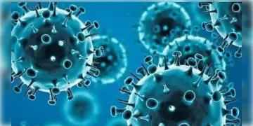 Read more about - ব্রিটেনে ফের করোনার নতুন রূপ সে, ওমিক্রনের চেয়েও এই নয়া 
ভ্যারিয়েন্ট বেশি সংক্রামক