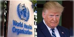 Read more about - WHO-Trump | WHOর সঙ্গে সম্পর্ক ছিন্ন করলেন ট্রাম্প! শপথ নিয়েই কেন এই সিদ্ধান্ত মার্কিন প্রেসিডেন্টের?