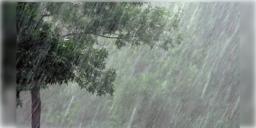 Read more about - Weather Update | সপ্তাহান্তে ঝেঁপে বৃষ্টি, কলকাতা থেকে শিলিগুড়ি জারি অরেঞ্জ অ্যালার্ট