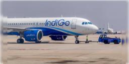 Read more about - IndiGo | বিস্ফোরণে উড়িয়ে দেওয়া হবে বিমান!- হুমকি পেয়েই মুম্বই বিমানবন্দরে জরুরী অবতরণ ইন্ডিগো বিমানের
