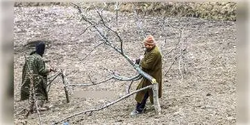 Read more about - কাশ্মীরে ১৫০ জনজাতি পরিবারকে উচ্ছেদের নোটিস বন দফতরের, বিপাকে যাযাবরেরা।