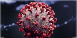 Read more about - Covid-19 | দেশে ফের করোনার ভ্রূকুটি, বুঝবেন কীভাবে? মানবেন কোন কোন নিয়ম?