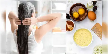 Read more about - Hair Mask | রুক্ষ্ম চুলের জেল্লা ফিরিয়ে চুল ঘন করতে সঠিক পদ্ধতিতে মাখুন ডিম! বাড়িতে বানান ডিম দিয়ে হেয়ার মাস্ক!