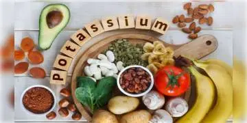 Read more about - পটাশিয়াম ডায়েট হৃদরোগ প্রতিরোধ করতে সহায়তা করে, নিয়মিত একটি করে কলা খেলে হৃদরোগ প্রতিরোধ করা সম্ভব