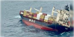 Read more about - Arabian Sea | জাহাজ থেকে আরব সাগরে পড়েছে মালবাহী কন্টেইনার, ক্ষতিকর তরল ছড়িয়ে পড়ার আশঙ্কা