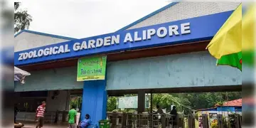 Read more about - Alipore Zoo | আলিপুর চিড়িয়াখানায় আসছে চেন্নাইয়ের বিশালাকার 'সবুজ অ্যানাকোন্ডা'!