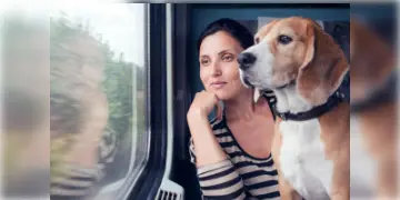 Read more about - IRCTC Online Ticket For Pets | অনলাইনেই বুক করুন আপনার পোষ্যের ট্রেনের টিকিট!