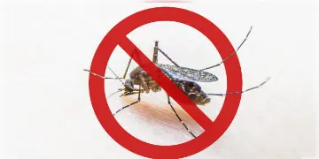 Read more about - National Dengue Day | আজ জাতীয় ডেঙ্গু দিবস! জানুন ডেঙ্গুর লক্ষণ ও চিকিৎসা