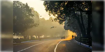 Read more about - Weather Update | মহানগরে দ্রুত পারদপতন, একনজরে কলকাতার আজকের আবহাওয়া আপডেট