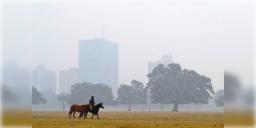 Read more about - Weather Update | নতুন বছরে শীতের কবলে কলকাতা, একনজরে মহানগরের আজকের আবহাওয়া আপডেট