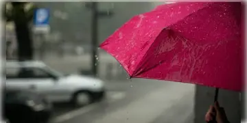 Read more about - West Bengal Weather News | নভেম্বরের শুরুতেই বাড়বে তাপমাত্রার পারদ! বৃষ্টির পূর্বাভাস বেশ কয়েক জেলায়!