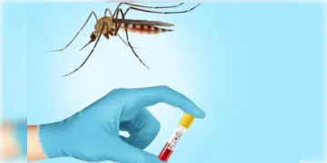 Read more about - Dengue | রাজ্যে ৫ হাজার উর্দ্ধে ডেঙ্গু আক্রান্ত! রোগ প্রতিরোধ করতে ল্যাবে তৈরী হচ্ছে বিশেষ মশা!