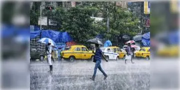 Read more about - কলকাতায় ফের বজ্রবিদ্যুৎ সহ বৃষ্টির পূর্বাভাস এর কথা জানালো আলিপুর আবহাওয়া দপ্তর