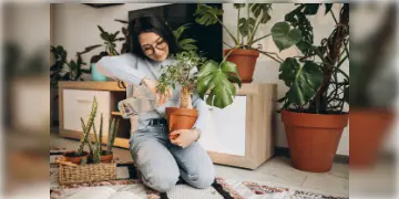 Read more about - Living Room Indoor Plants | বায়ু দূষণ থেকে রক্ষা পেতে ইনডোর প্ল্যান্ট লাগানোর পরামর্শ পরিবেশবিদদের! বাড়ির বাতাস পরিশুদ্ধ রাখবে এই গাছ!