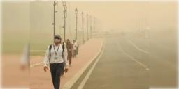 Read more about - Delhi Air Pollution | দিল্লির বাতাসে 'বিষ'! শ্বাসকষ্টে ভুগছেন ২ লাখেরও বেশি রাজধানীবাসী