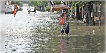 Read more about - Weather Update | ভারী বর্ষণের জেরে জেরবার কলকাতা, একনজরে দেখে নিন মহানগরীর আজকের আবহাওয়া আপডেট