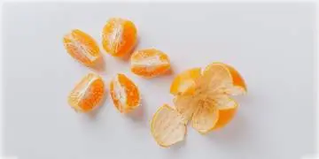 Read more about - কমলালেবুর খোসাতেই রয়েছে ঘর পরিষ্কারের সমস্যার সমাধান, লেবুর খোসা ঘরের চটচটে ময়লা পরিষ্কার করতে পারে