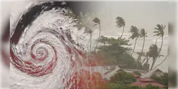 Read more about - Cyclone Fengal | বঙ্গোপসাগরে নিম্নচাপ পরিণত হচ্ছে গভীর নিম্নচাপে! পরের সপ্তাহেই ল্যান্ডফল ঘূর্ণিঝড় ফেনজ়লের