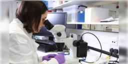 Read more about - Nanosensor | মাত্র ৩০ মিনিটেই কঠিন থেকে কঠিনতর রোগ ধরে ফেলবে বিশেষ ন্যানো সেনসর! কৃতিত্ব আইআইটি যোধপুরের পড়ুয়াদের!