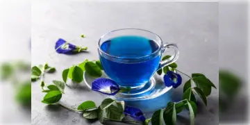 Read more about - Blue Tea: 'নীল চা' পশ্চিমবঙ্গ শিল্পে একটি নতুন চমক