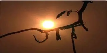Read more about - পারদ ক্রমশ উর্ধ্বমুখী কলকাতায়, আবহাওয়া দফতরের পূর্বাভাস আগামী কয়েকদিন আরও বাড়বে তাপমাত্রা