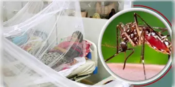 Read more about - Dengue | রাজ্যে ডেঙ্গু 'আতঙ্ক' নিয়ন্ত্রণে আনতে স্বাস্থ্য দফতরে বৈঠক! ঘরোয়া উপায়ে বাড়ান প্লেটলেট!