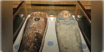 Read more about - Mummy in Kolkata | পুজোর আগেই কলকাতার নতুন চমক! শহরে চালু হবে নয়া জাদুঘর! আসছে ২৬০০ বছরের মমি!