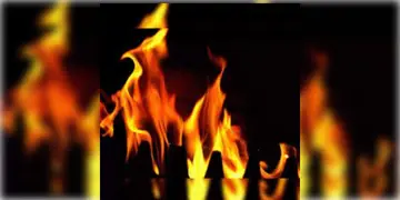 Read more about - Howrah Fire | ভরসন্ধ্যায় চলন্ত গাড়িতে ভয়াবহ অগ্নিকান্ড, দ্বিতীয় হুগলি সেতুতে ব্যাহত যান চলাচল
